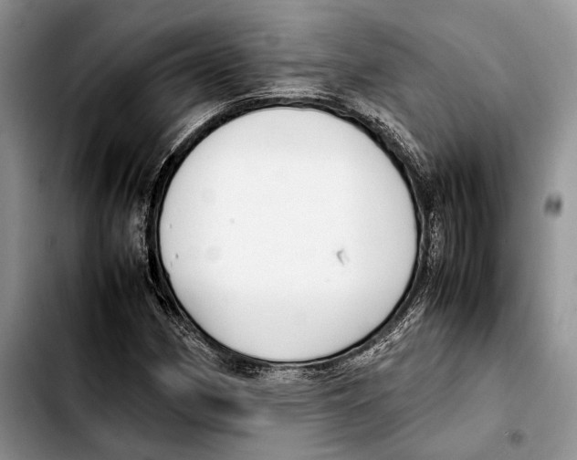 X0000103431162200810101036