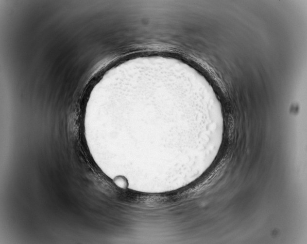 X0000103431163200810101036