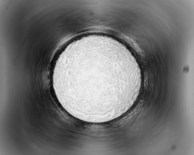 X0000103431164200810101035