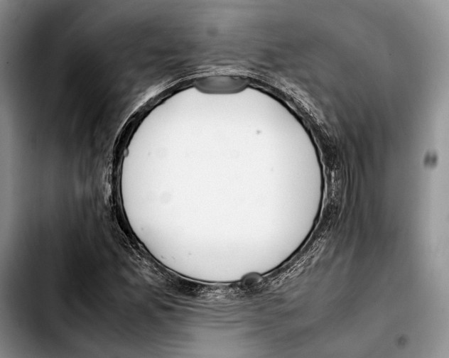 X0000103431165200810101035