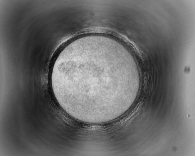 X0000103431166200810101035