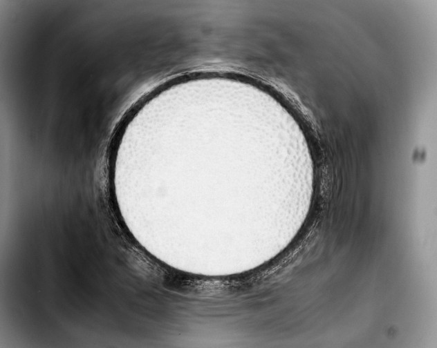 X0000103431167200810101035