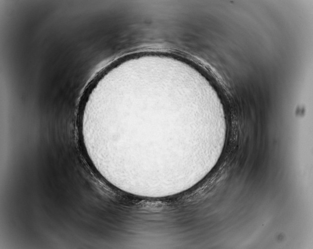 X0000103431168200810101035