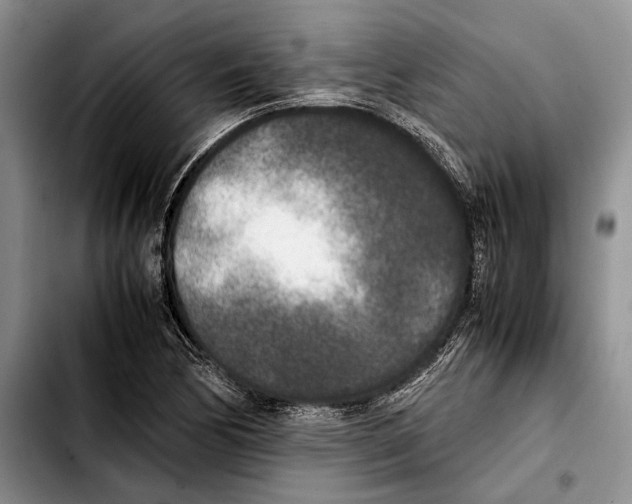 X0000103431170200810101035