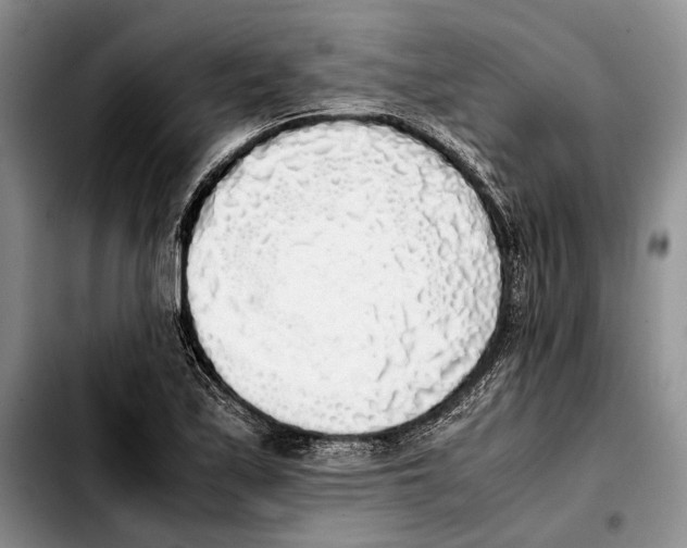 X0000103431171200810101035