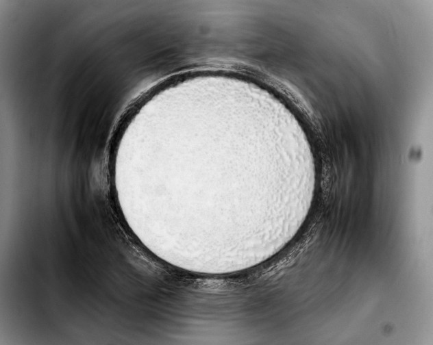 X0000103431172200810101035
