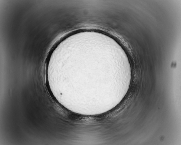 X0000103431175200810101035