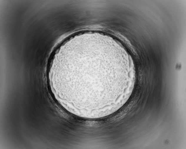 X0000103431176200810101035