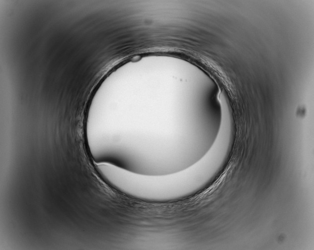 X0000103431177200810101035