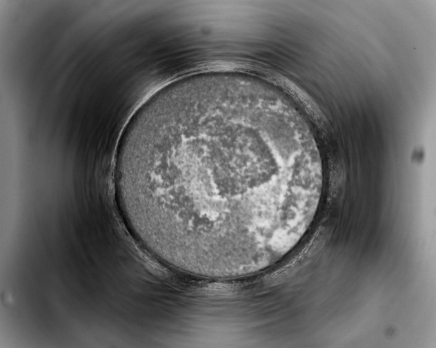 X0000103431178200810101035