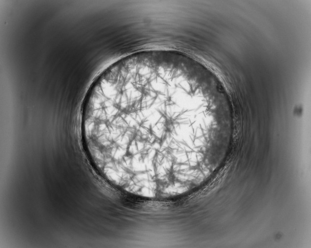 X0000103431179200810101035