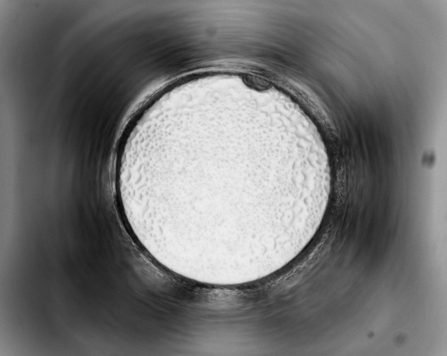 X0000103431180200810101035