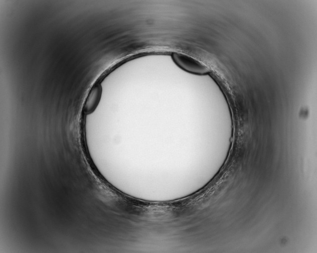 X0000103431181200810101035