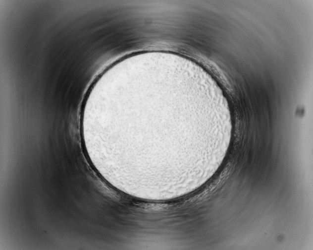 X0000103431184200810101035