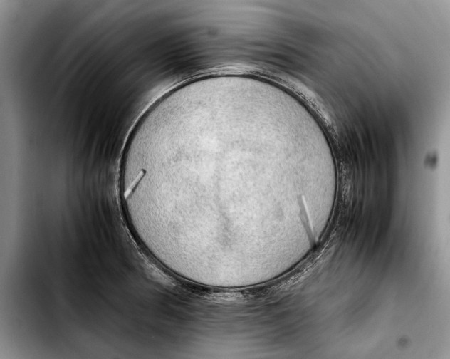 X0000103431186200810101035