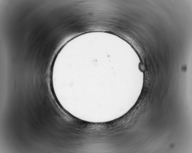 X0000103431187200810101035