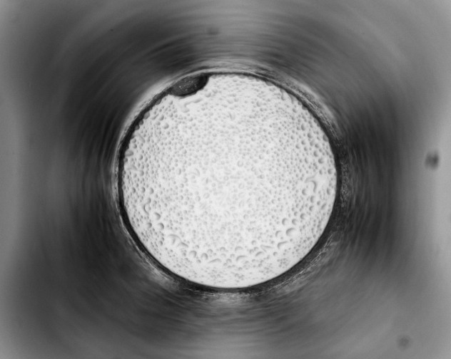 X0000103431188200810101035