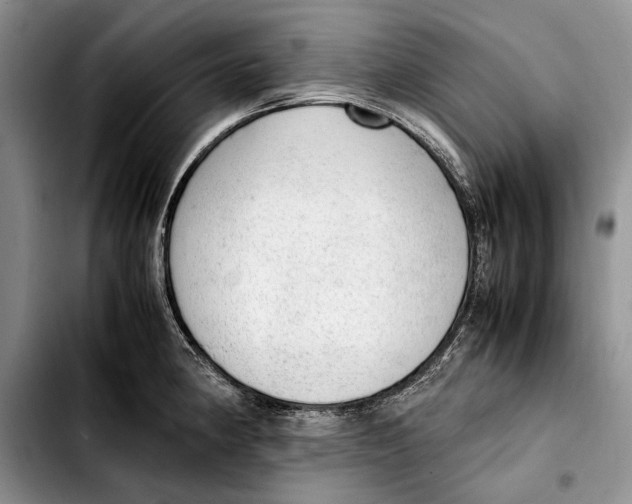 X0000103431190200810101035