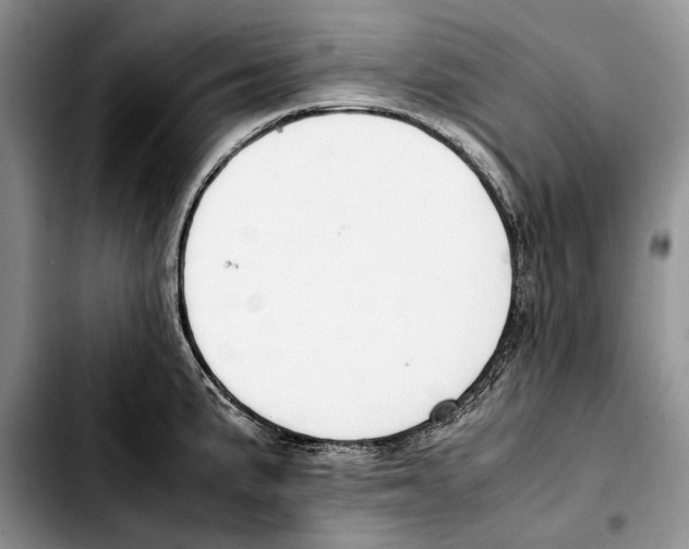 X0000103431191200810101035