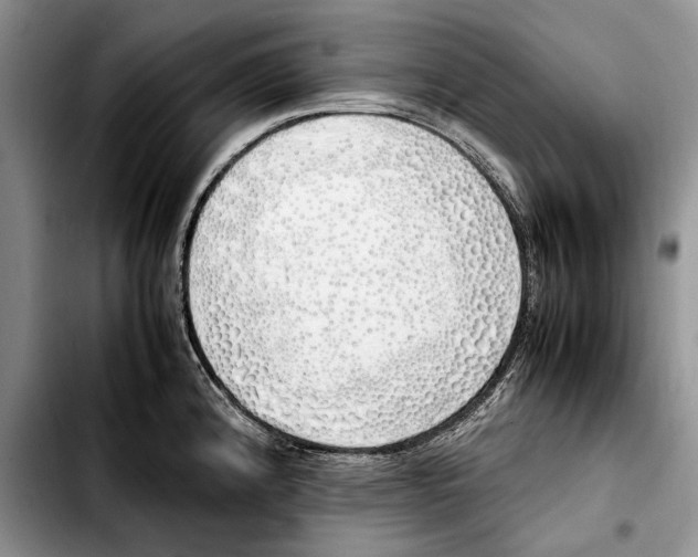 X0000103431192200810101035