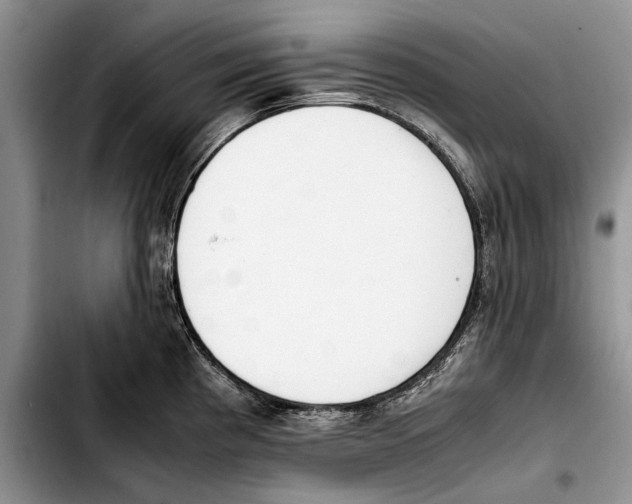 X0000103431193200810101035