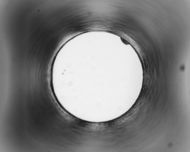 X0000103431195200810101035