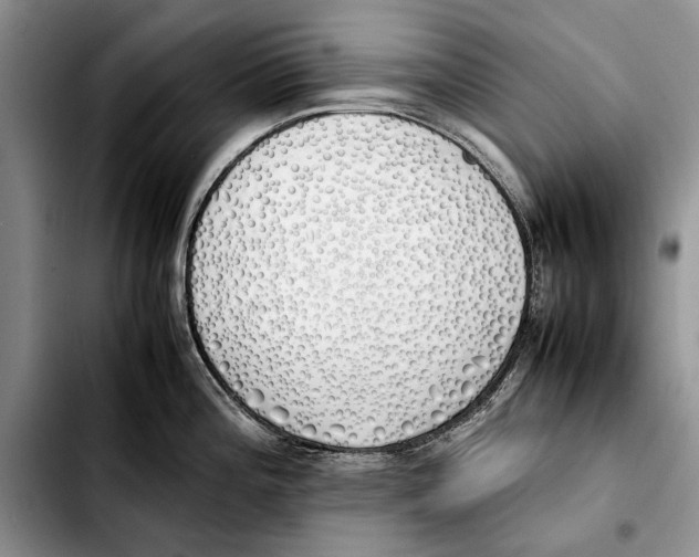 X0000103431196200810101035