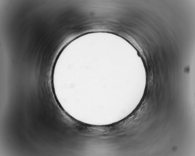 X0000103431197200810101035