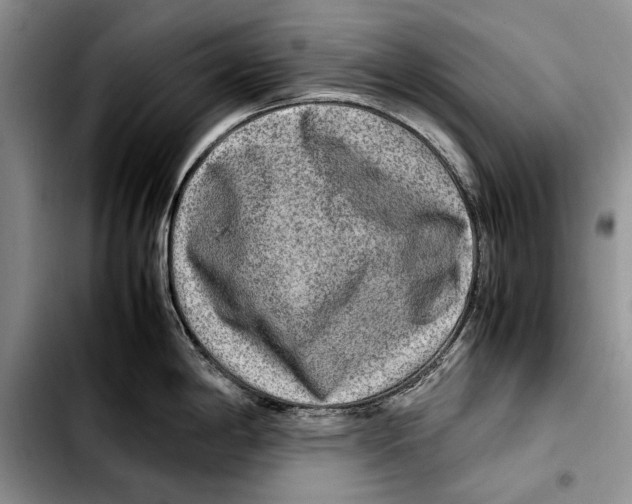 X0000103431198200810101035