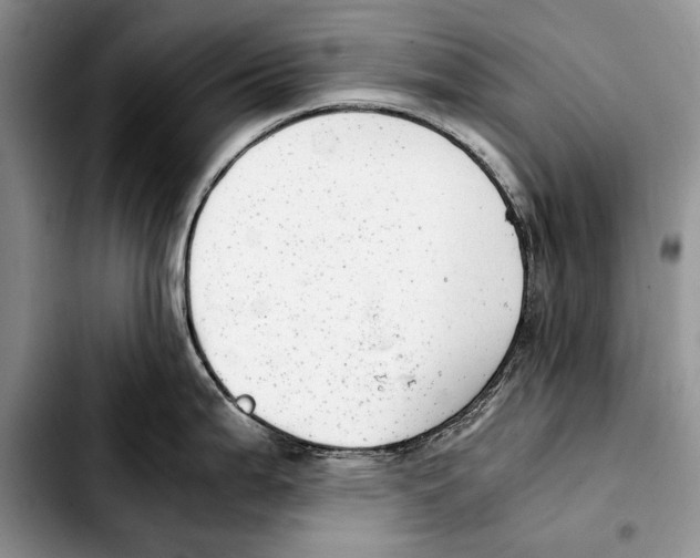 X0000103431199200810101035