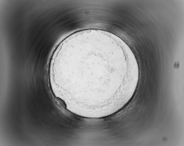 X0000103431200200810101035