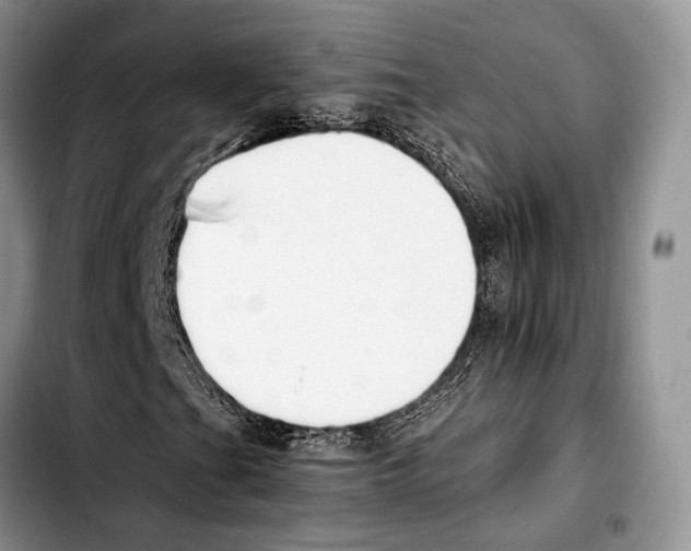 X0000103431201200810101034