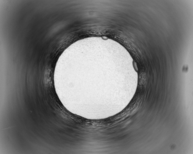X0000103431202200810101034