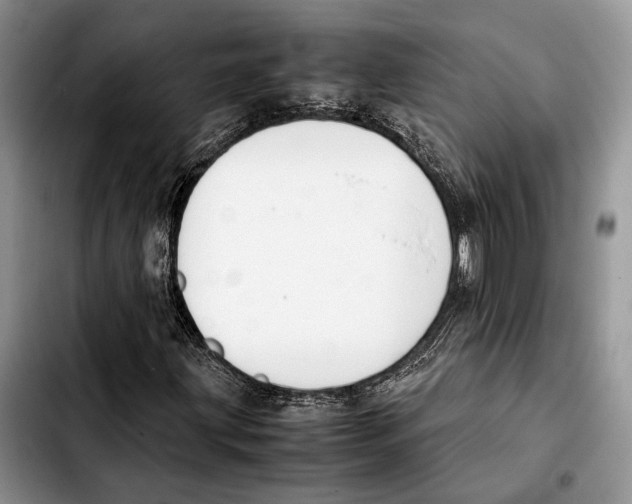 X0000103431203200810101034