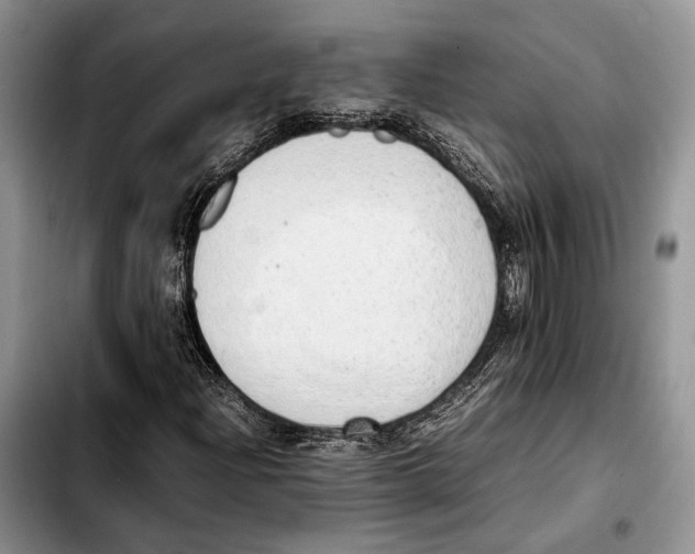 X0000103431204200810101034