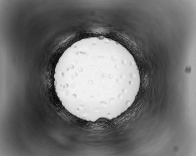 X0000103431205200810101034