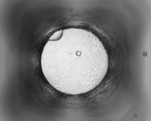 X0000103431206200810101034