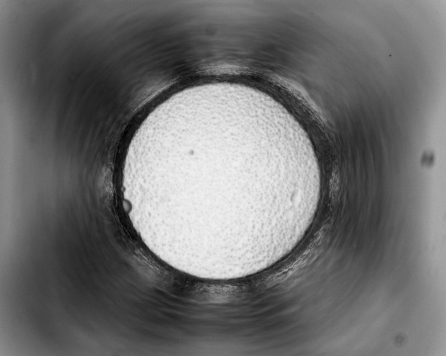 X0000103431209200810101034