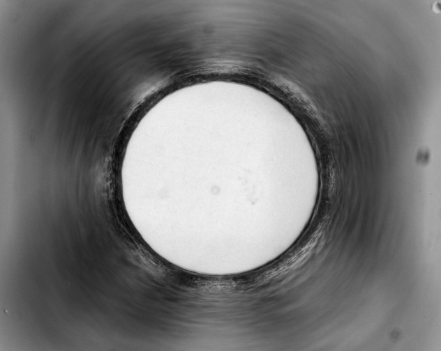 X0000103431210200810101034