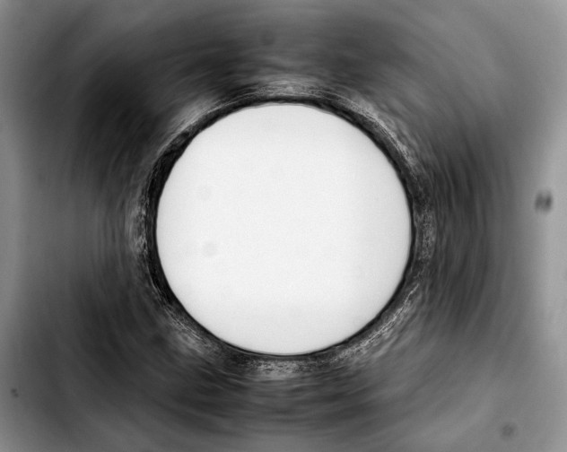 X0000103431211200810101034