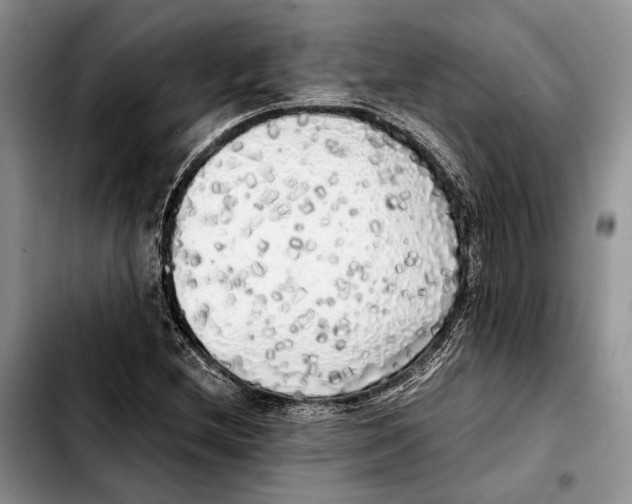 X0000103431212200810101034