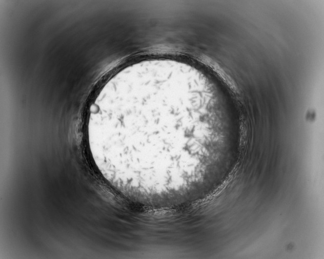 X0000103431213200810101034