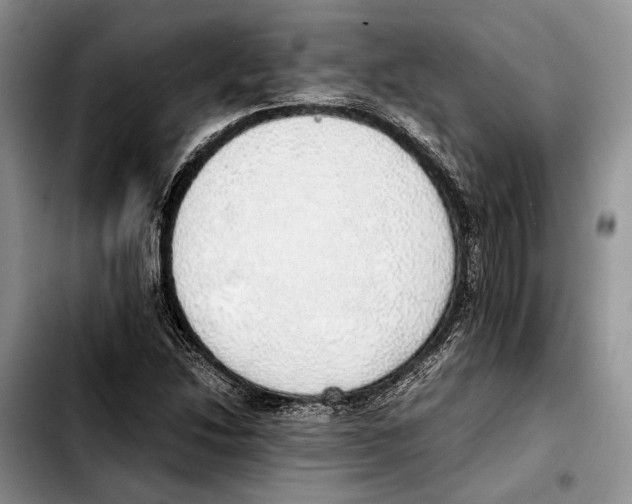 X0000103431214200810101035