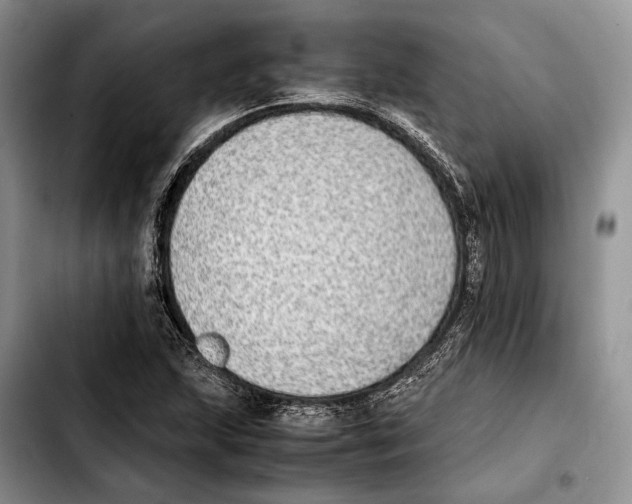 X0000103431215200810101035