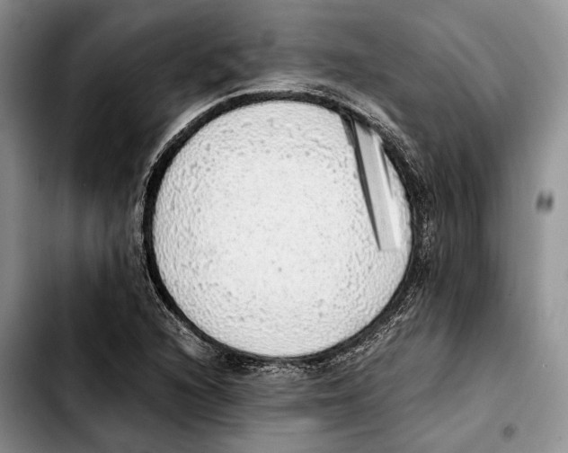 X0000103431216200810101035