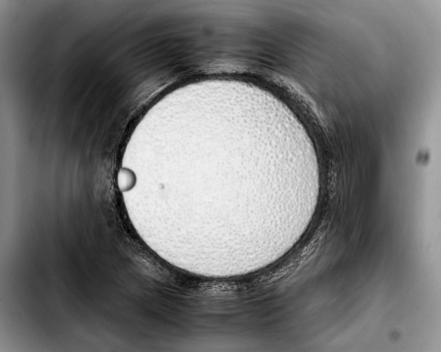 X0000103431217200810101035
