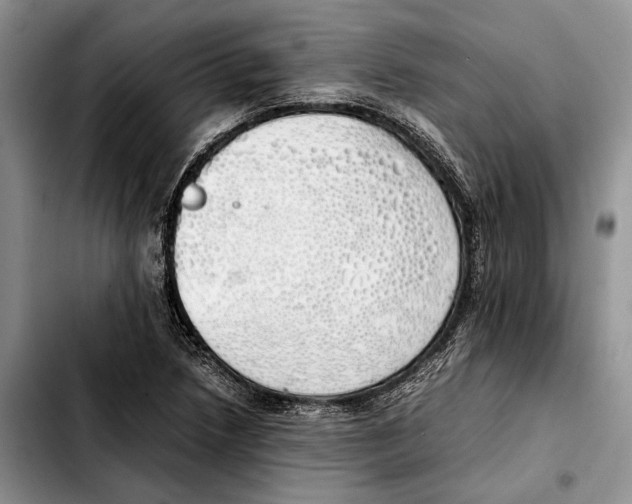 X0000103431218200810101035