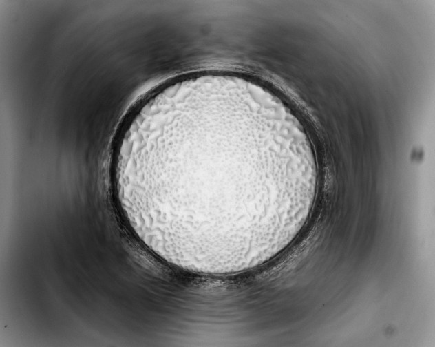 X0000103431222200810101035