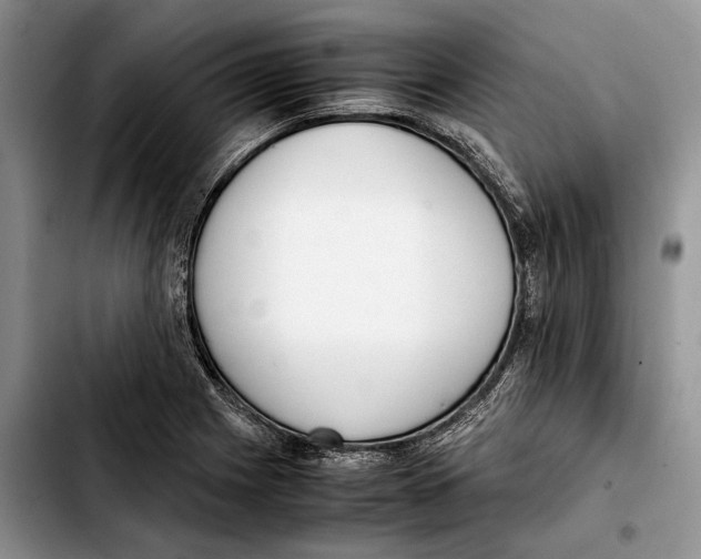 X0000103431225200810101035