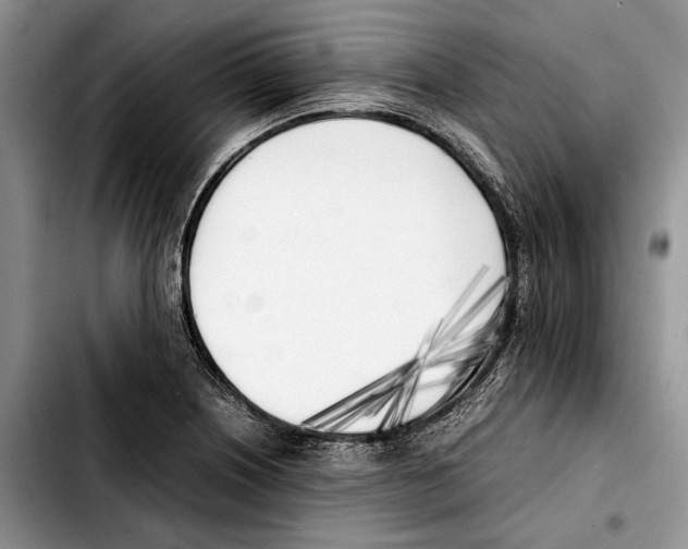 X0000103431226200810101035